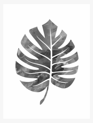 Monstera Leaf