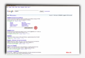 Google Ns Individual Search Box - Postman Console