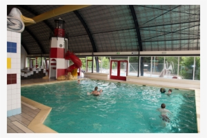 Swimming Pool - Zwembad De Dolfijn Rijnsburg