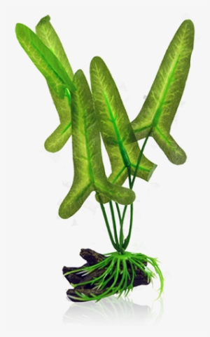 Bettacare Betta Plant Large Arrowhead - Fictional Character