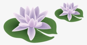 Planes De Ejercicios De Yoga Para Principiantes