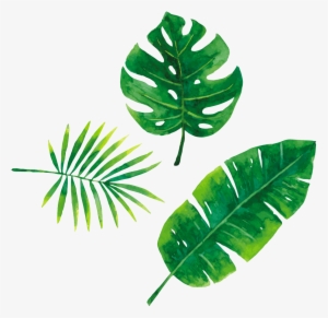 Leaves
