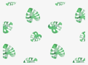 Monstera Green Brush Illustration Digital Nature Garden - Swiss Cheese Plant