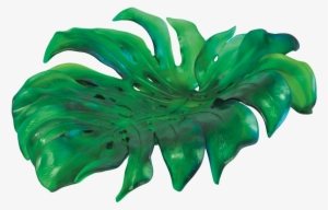 Monstera Magnum Bowl