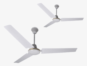 Ceiling Fans