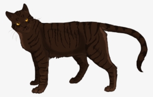 Gallery Image 1 Gallery Image 2 Gallery Image 3 - Lgdc Griffe De Ronce