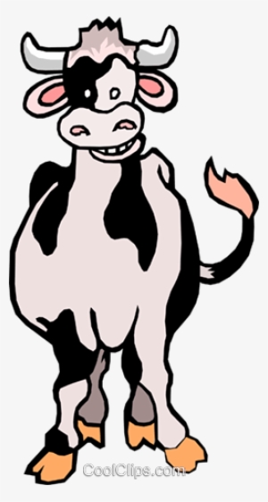 Cartoon Cow Royalty Free Vector Clip Art Illustration - Transparent Clipart Kühe