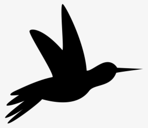 Humming Bird Black Side Silhouette Comments - Silueta De Colibri Png