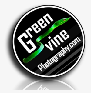 Green Vine - Need Coffee - 25mm 1" Button Badge - Cute Novelty Office