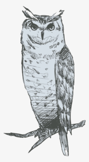 Crooked Owls02-06 - Great Horned Owl