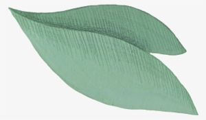 Cartoon Leaf Png - Portable Network Graphics