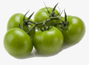 Green Vine Tomatoes - Cherry Tomatoes