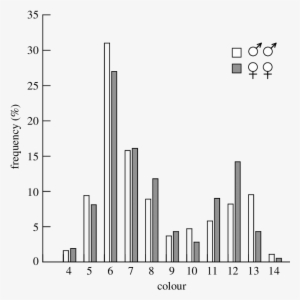 Frequency Distribution Of The Colour Of 190 Male Owls - Diagram