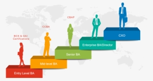 Analyst Png Image - Career Path For A Business Analyst