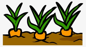 That Leaves One Thing Jackman's Vegetable Garden We've - Clip Art