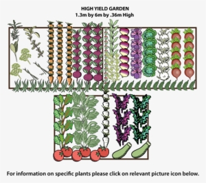 Plans For Our High Yielding Vegetable Garden - Vegetable Garden Top View Png