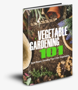 How To Stop Spending, This Book Actually Gives You - Poster