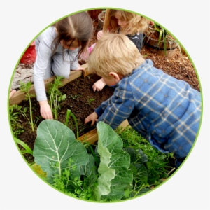Outdoor Environment - Toddler