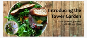 Tower Garden Toronto - Tower Garden In Restaurants