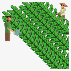 0shares - Illustration