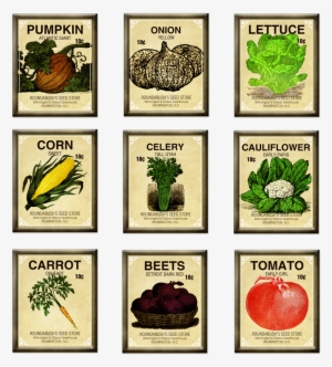 Fascinating Vegetable Garden Seeds Charming Ideas Seed - Seed Packet