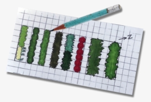 A Sketch Planning A Garden Layout - Vegetable Garden Map