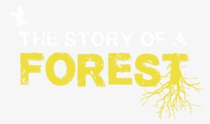 The Story Of A Forest Logo Web - The Dark Forest