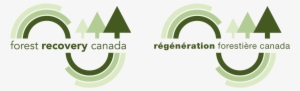 Forest Recovery Canada Is The National Tree Planting - Forest