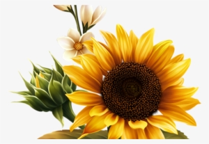 Kwiaty Png / Flowers Png - Sunflower Flag Clipart