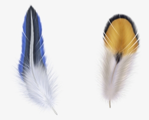 Clip Art Blue Transprent Png Free - Feathers Metal Travel Mug - By Mark Ashkenazi