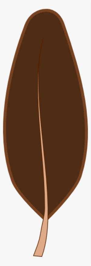 How To Set Use Brown Feather Svg Vector