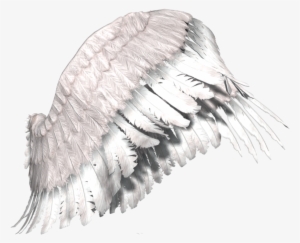Justin Bieber With Angel Wings