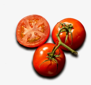 Burritos, Tacos & Chimis - Plum Tomato