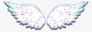 Asas De Casi Ángeles Em Png - Casi Angeles