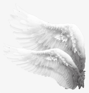 Guardian The Guardian Series Volume 1