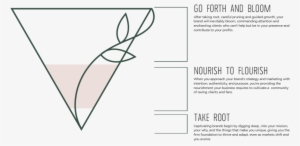 Root To Petal Creative Process - Portable Network Graphics