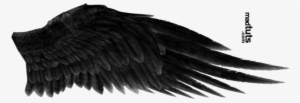 Wings Angel Wing - Dark Angel Wings