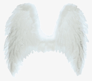 White Angel Wings Png - Ангельские Крылья Для Фотошопа