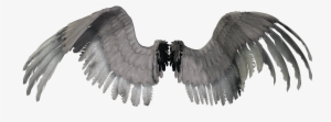 Neue Neoangel Federwin - Flügel Png