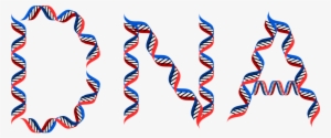 Dna And Weight Loss - Dna Typography