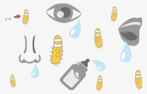 Tear Clipart Saliva - Lisozima