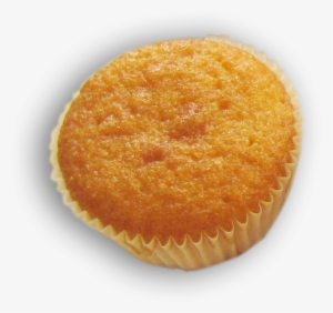 Ricotta