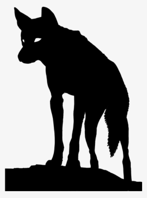 Dingo - Silhouette Of A Dingo