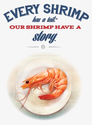 Why American Shrimp - American Shrimp