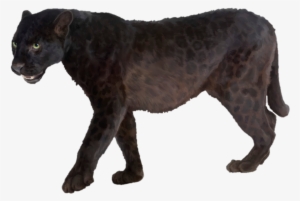 Panther Png Transparent Picture - Panther Png