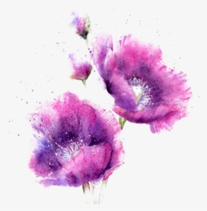 Largest Collection Of Free To Edit Flower@mummabear12