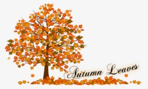 Autumn Tree Clip Art - Fall Tree Leaves Png