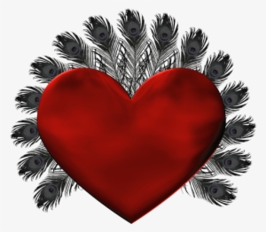 Red Heart With Black Feathers Png Clipart - Aalo Qosol Badan