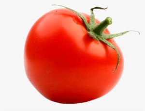 But One Thing All Tomatoes Have In Common - Tomato