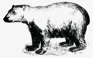 Free Clipart Of A Polar Bear - Papa Bear T-shirt